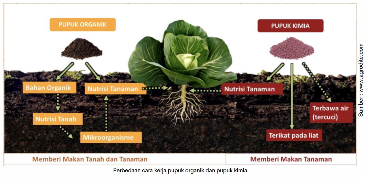 Alternatif Dan Optimalisasi Pemupukan - PT Medion Ardhika Bhakti