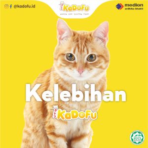 Cover Kelebihan