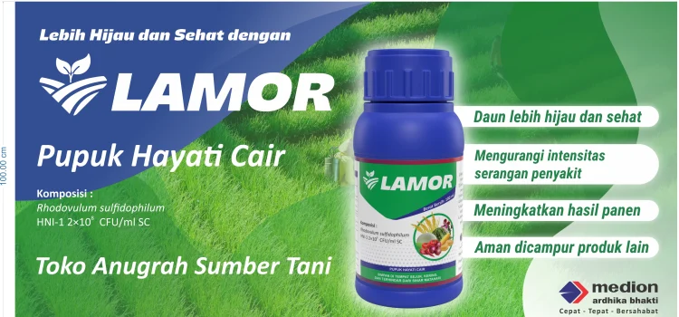 Lebih Hijau dan Sehat dengan LAMOR