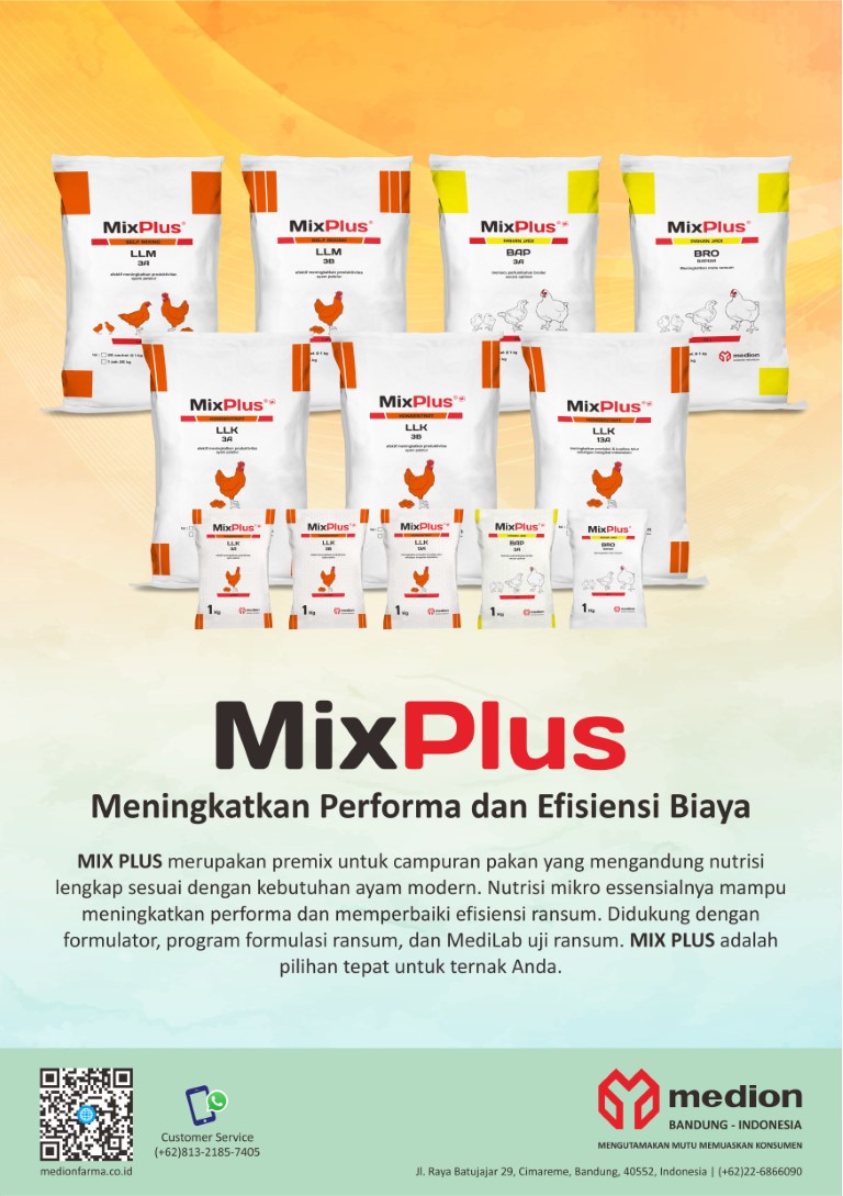 Mixplus (Medium)